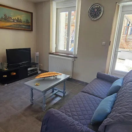 T2 Rénové Avec Cour Privée - Centre D'épinal, Proche Gare Et Commodités - Fr-1-589-265 *