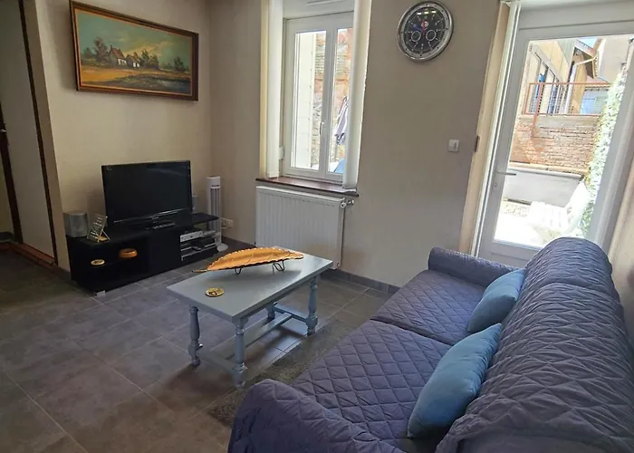 T2 Renove Avec Cour Privee - Centre D'epinal, Proche Gare Et Commodites - Fr-1-589-265 *